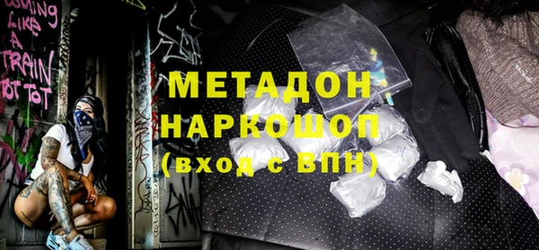 гашик Алексин