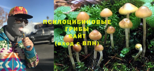 дурь Абдулино