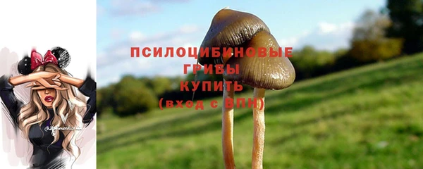 не бодяженный Абинск