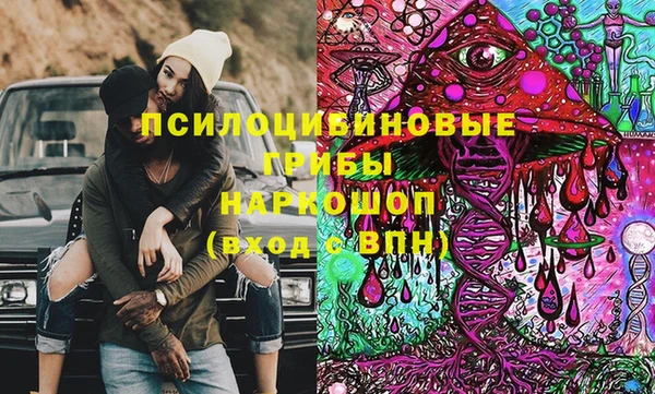 гашик Алексин