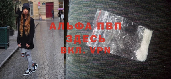 хмурый Алзамай