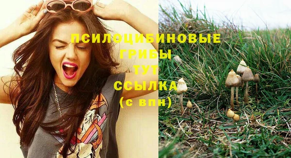 дурь Абдулино