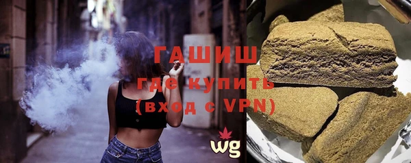 гашик Алексин